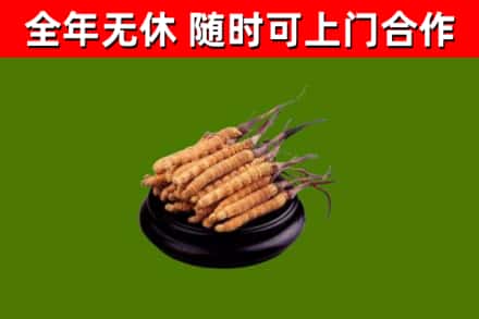 武侯区烟酒回收冬虫夏草.jpg